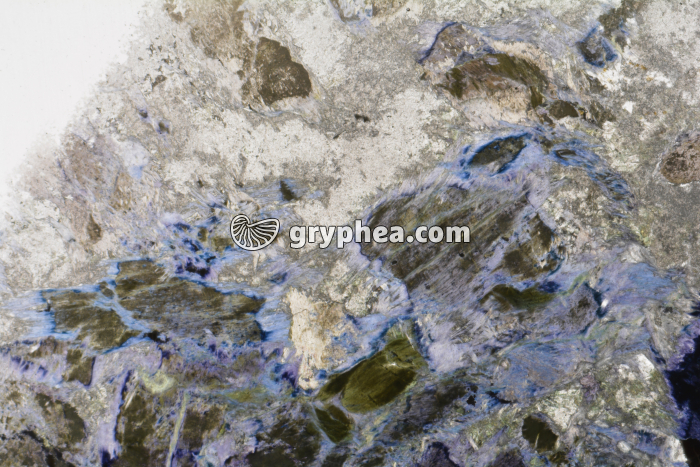 Métagabbro à Glaucophanite LPNA x3,5 - gryphea.com